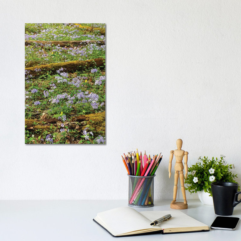 Springtime In The Woods by Brian Wolf - Wrapped Canvas Print