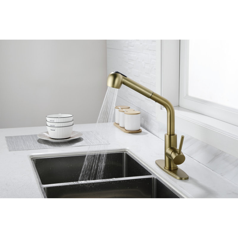 Robinet de lavabo extractible simple à fonction de jet double en acier inoxydable doré, buse haute rotative à 360 °, débit d'eau et température facile, conception rouille avec acier inoxydable pour la lessive, rotation de la buse,