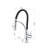 AvaMalis Pull Down Kitchen Faucet
