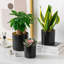 FLHPOT Ceramic Pot Planter-219634316