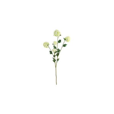 Pine Arrangement