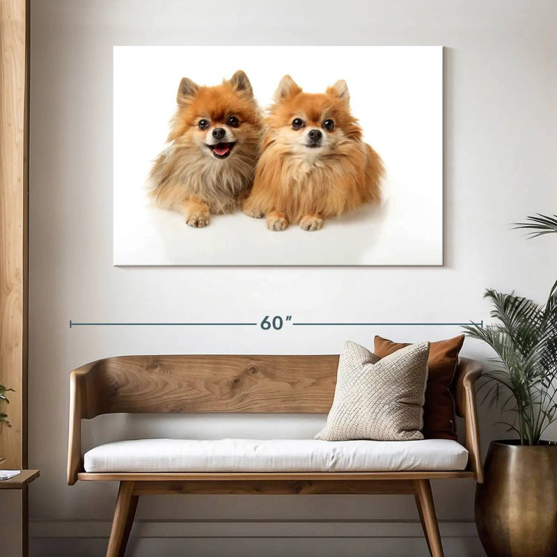 Crowle Posing Pomeranians, 32" H x 48" W