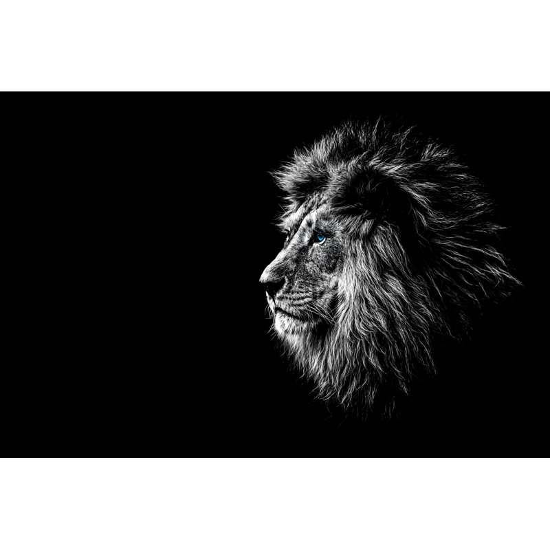 «Lions Blue Eyes On Canvas» par Huettenhoelscher, photographie, H 8 po x l 12 po x P 1,25 po
