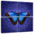 Brampt Glowing Blue Morpho Butterfly-109143128