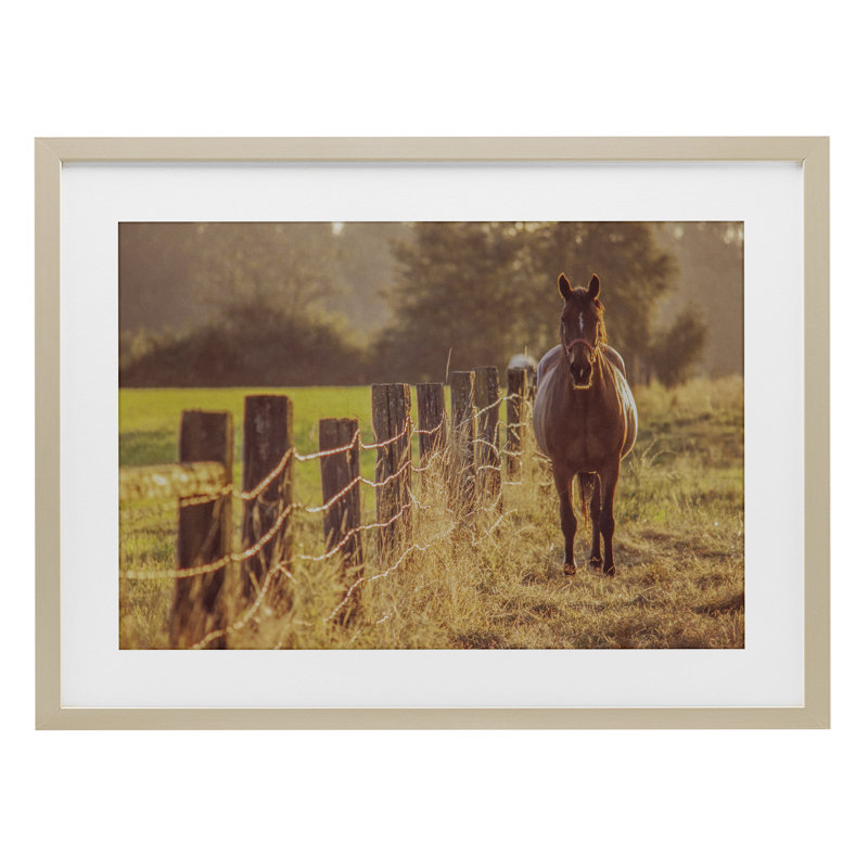 «Horse's Farm at Dawn», reproduction sous verre encadrée, design par Norm Stelfox, H 17 po x l 23 po, Cadre de récolte en pin