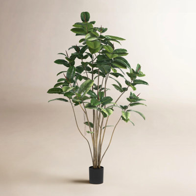 Solerno 72" Rubber Tree with Base Included