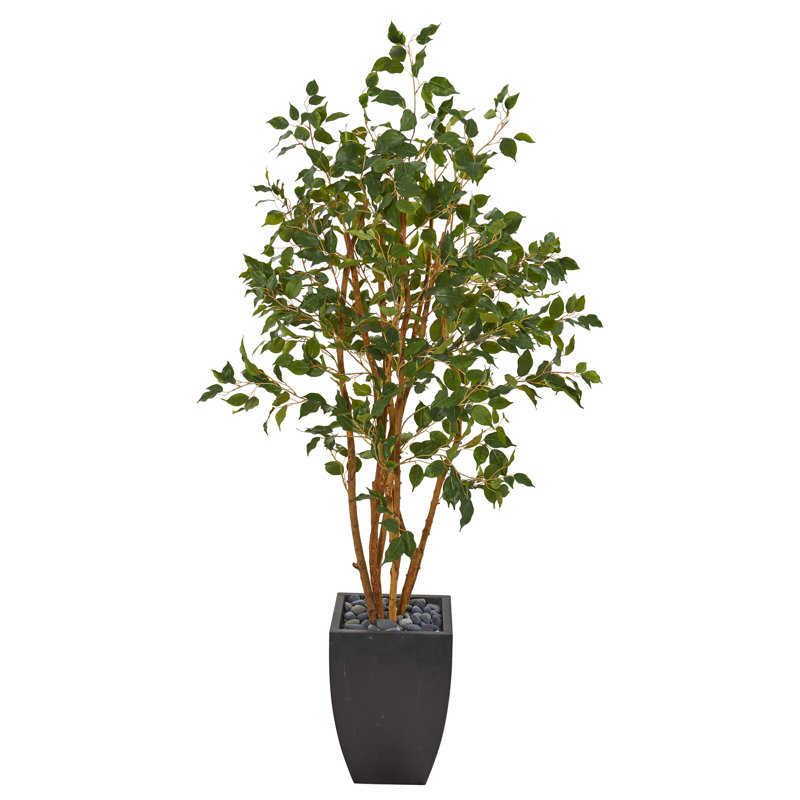 58'' Faux Ficus Tree in Ceramic Planter