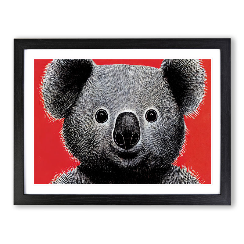 Select Koala Bear - Framed Print, Black , 46cm H x 64cm W x 2cm D