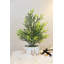 Arbre de Noël givré en pot de bol inversé