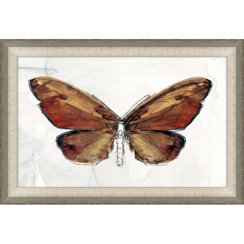 Schéma du papillon peint 1 - Peinture encadrée