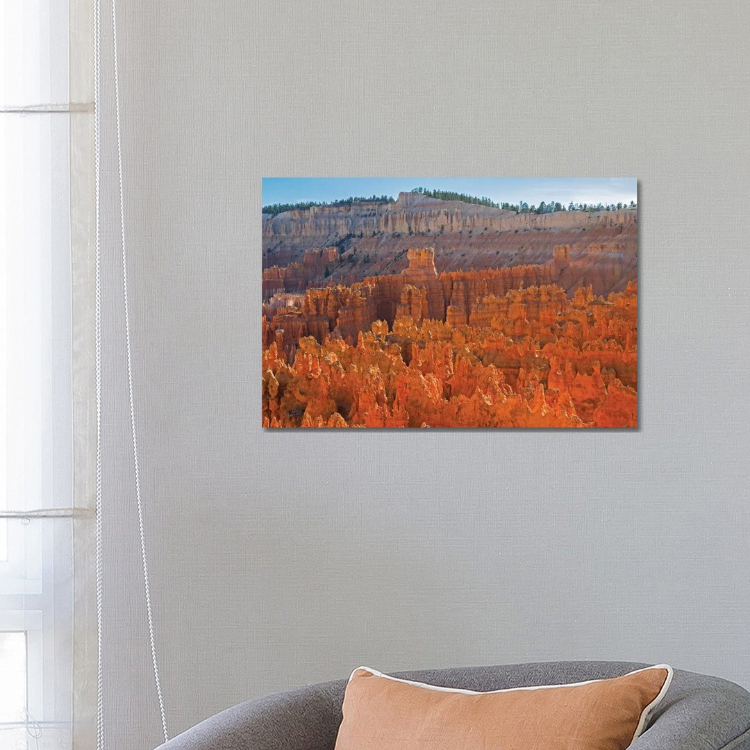 Utah, Bryce Canyon National Park. View Of Canyon With Hoodoos by Jamie & Judy Wild - Wrapped Canvas Print