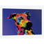 Jack arc-en-ciel terrier, impression sur toile tendue-74756981-74756980-19742859