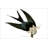 American Swallow-Tailed Kite-684923524
