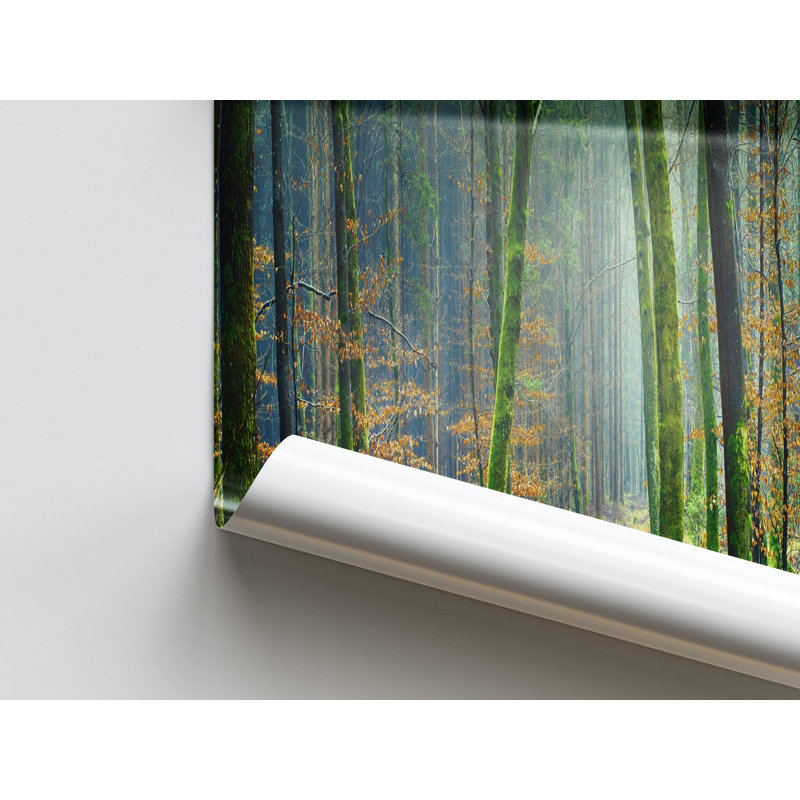 Print on Canvas, White Floater Framed, 40 cm H x 60 cm W