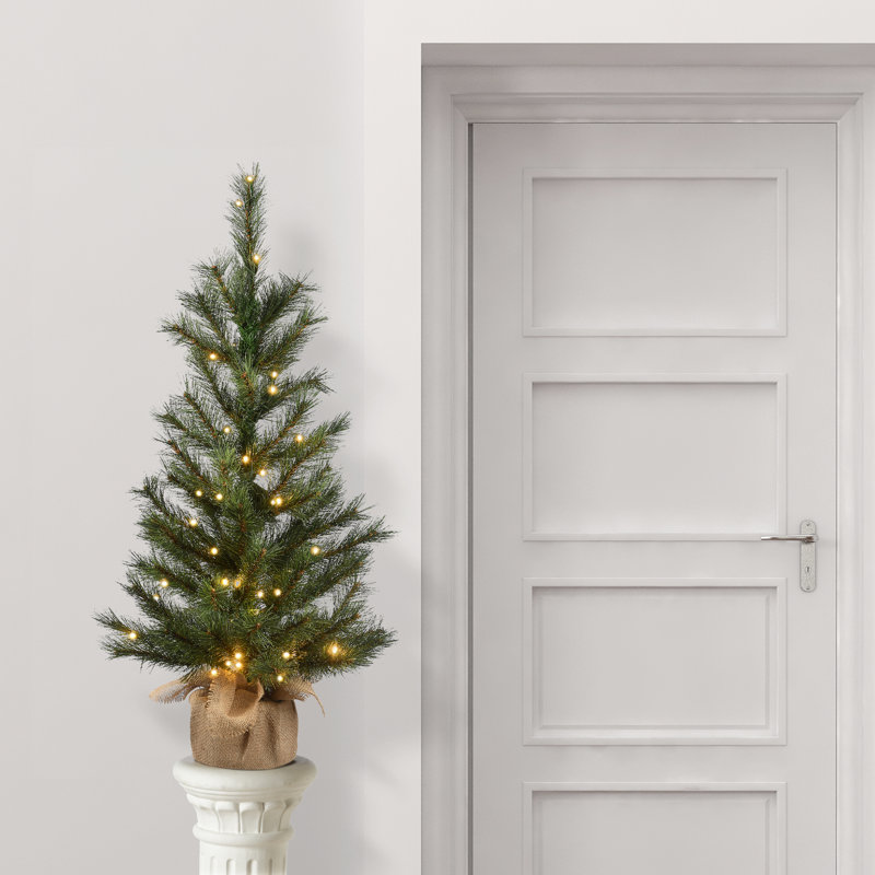 Arbre de pin givré de 3 pi avec lumières à piles