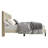 Oregon Tufted Upholstered Wingback Panel Bed-1724302440-1724302437