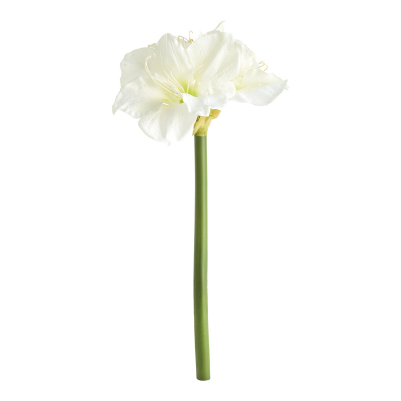 Barreto AMARYLLIS STEMS Set of 2, White