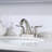 Centerset 2-handle Bathroom Faucet with Drain Assembly-56118832