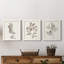 Neutral Botanical Study I - Ensemble de 3 reproductions d'art sur toile-1870357602-1870357601