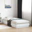 Pasol Bed-933228859-933228861