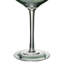 Tropical Leaves Gin Glasses