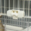 Cage avec rampe Caines Chinchilla-2584866-40463611
