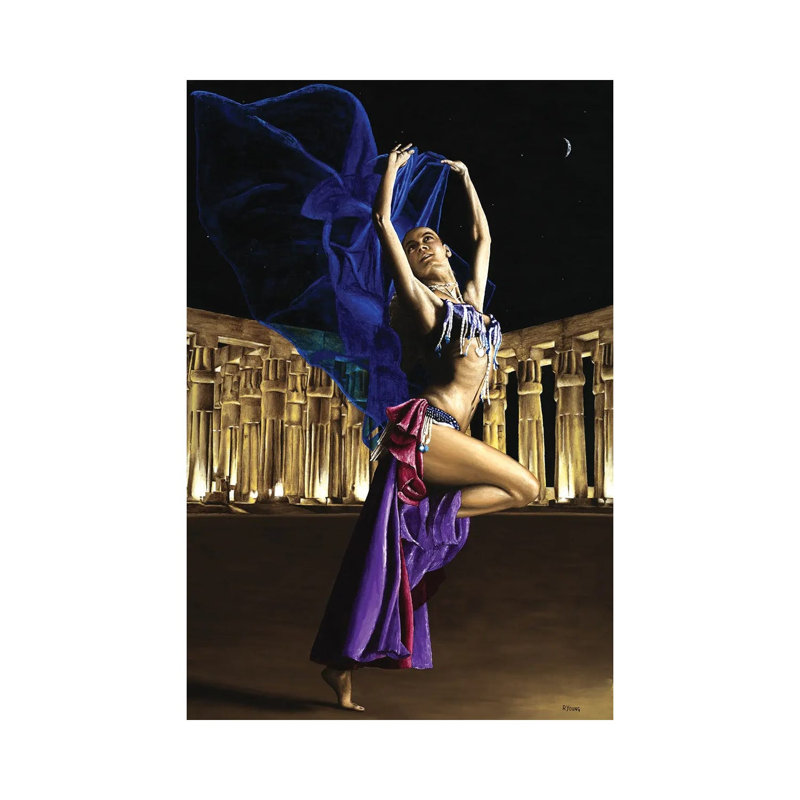 Sun Court Dancer by Richard Young - Gallery-Wrapped Canvas Giclée on Canvas, Wrapped Canvas, 20.32 cm H x 30.48 cm W