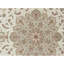 Elegance Oriental Area Rug