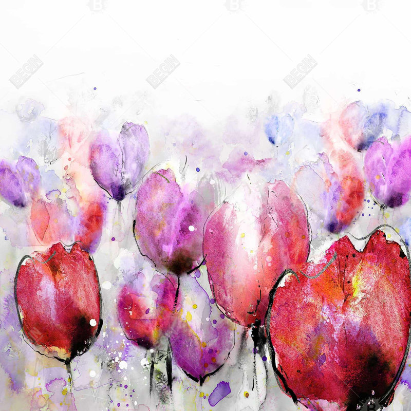 " Pink Tulips Field "