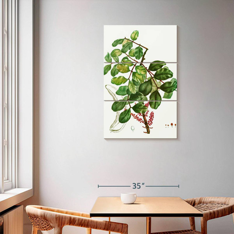 Keiri Carob Tree, 57" H x 36" W