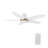 48'' Ceiling Fan with LED Lights-11591411