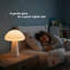 Composite Desk Lamp