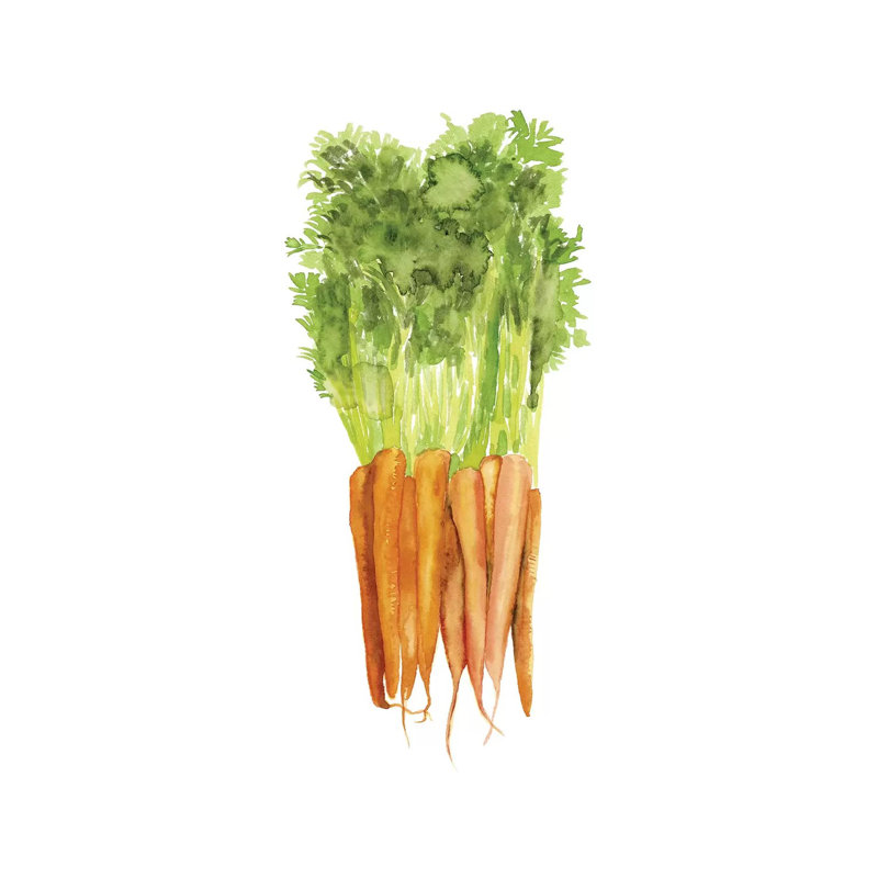Watercolour Veggie III by Naomi McCavitt - 1 Piece Wrapped Canvas Painting, 101.6 cm H x 66.04 cm W x 3.175 cm D