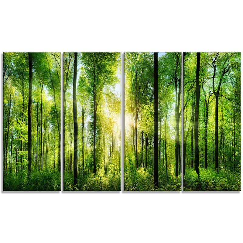 «Forest with Rays of Sun Panorama», ensemble de 4 reproductions de photos sur toiles tendues