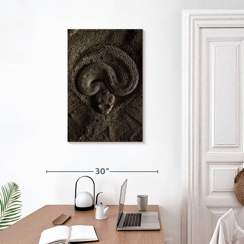 Brampt Coiled Horned Rattlesnake, 30" H x 20" W