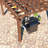 Solid Wood Pergola-90611541