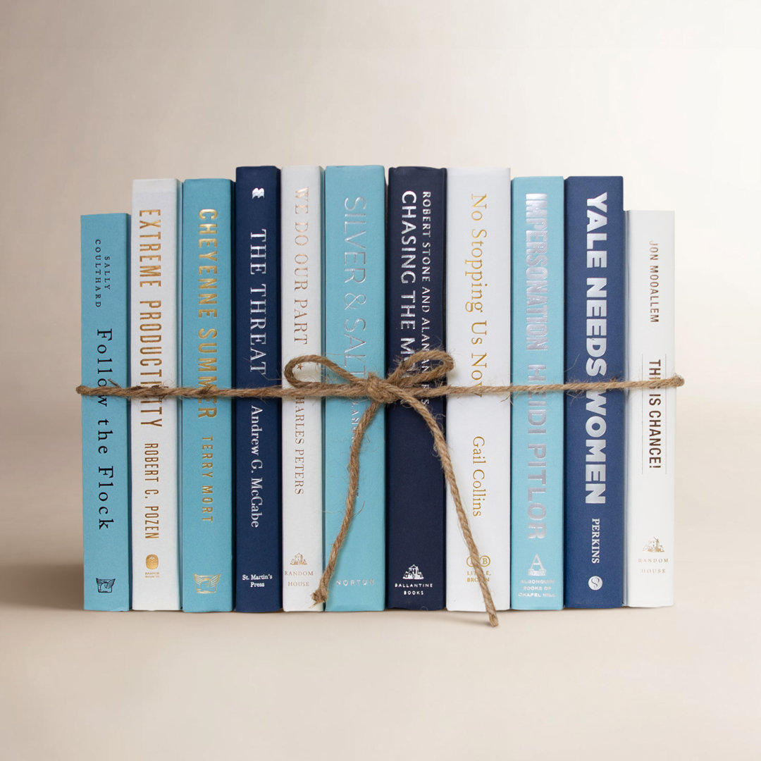 Altesa Entertainment Decorative Book Joss & Main