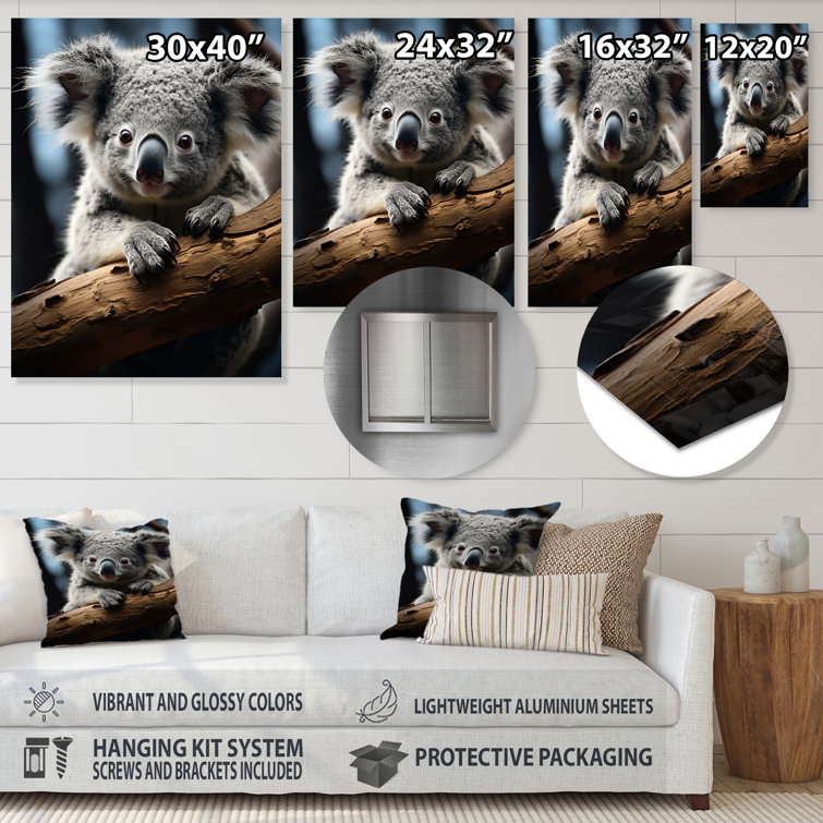 Millwood Pines Koala Koalas Serenity On Metal Print - Wayfair Canada