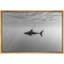 «Black and White Shark Ocean Profond Modern Coastal Decor», reproduction d'art sur toile encadrée-120419708-120419707