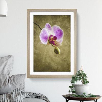 Orchid Flowers Vol.6 - Framed Print