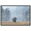 Mountain Bison II Print by Oliver Gal-1824863149-1824863145