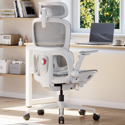 Ergonomic Office Chair, with Adaptive Lumbar Support, 6D Armrests, High Back Office Chair