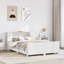 Dollman Bed-59927384-58417000