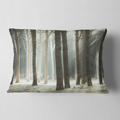 Maritime Pine Tree Forest with Rays - Forest Printed Throw Pillow