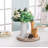 Decorative Serving Tray Wood: White Washed Bead Round Tray Decor For Coffee Table Rustic Wooden Trays Farmhouse Centerpiece For Living Room Kitchen Counter-1730662321