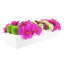 Modern Orchid and Succulent Arrangement