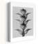 Acanthus Mollis, rétro, art mural rétro-129715893