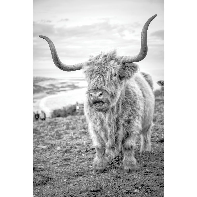 Highland Cows VI, H 18 po x l 12 po, Impression avec cadre érable, Non