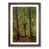 Walnut selected