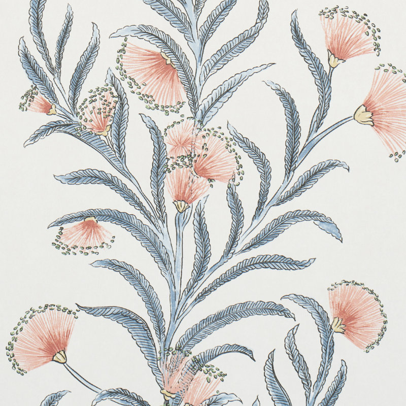 Schumacher x Celerie Kemble Tasmanian Mimosa Wallpaper, Pink/Gray